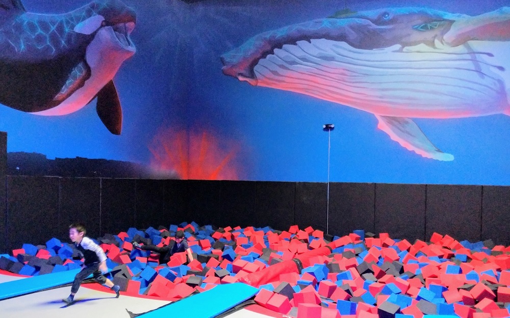 indoor trampoline bellevue